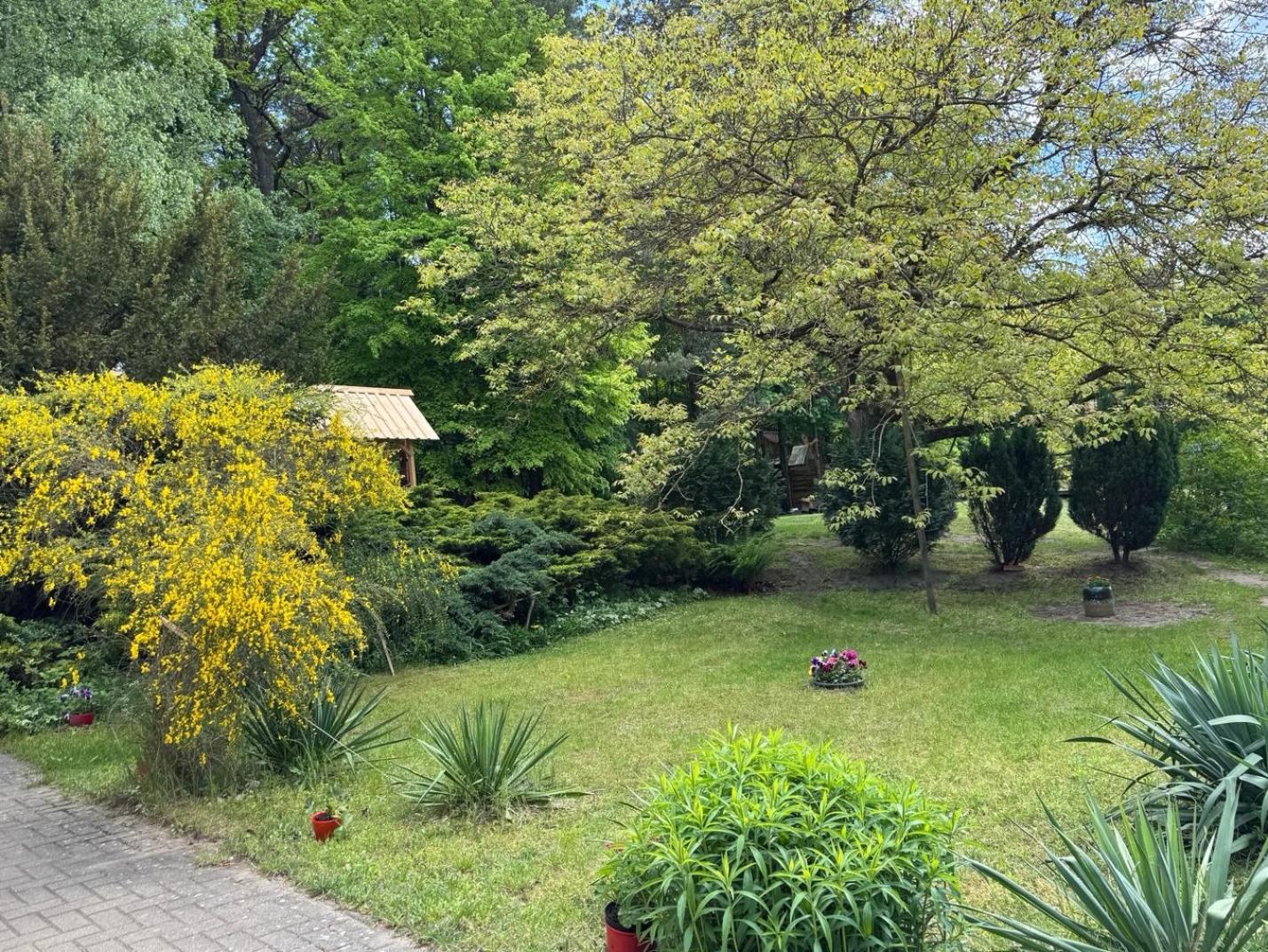 Agroturystyka Staroscin Rzepin Exterior foto